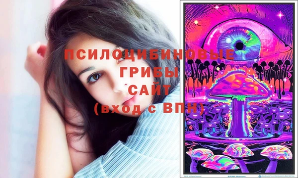 дурь Ладушкин