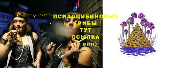 стаф Алексеевка