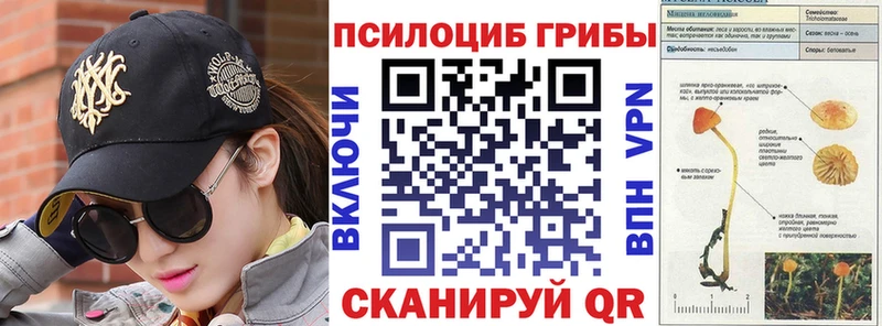 где продают   Партизанск  Псилоцибиновые грибы Psilocybe 